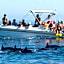 Sugar Reef West Coast
