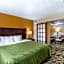 Quality Suites Addison-Dallas