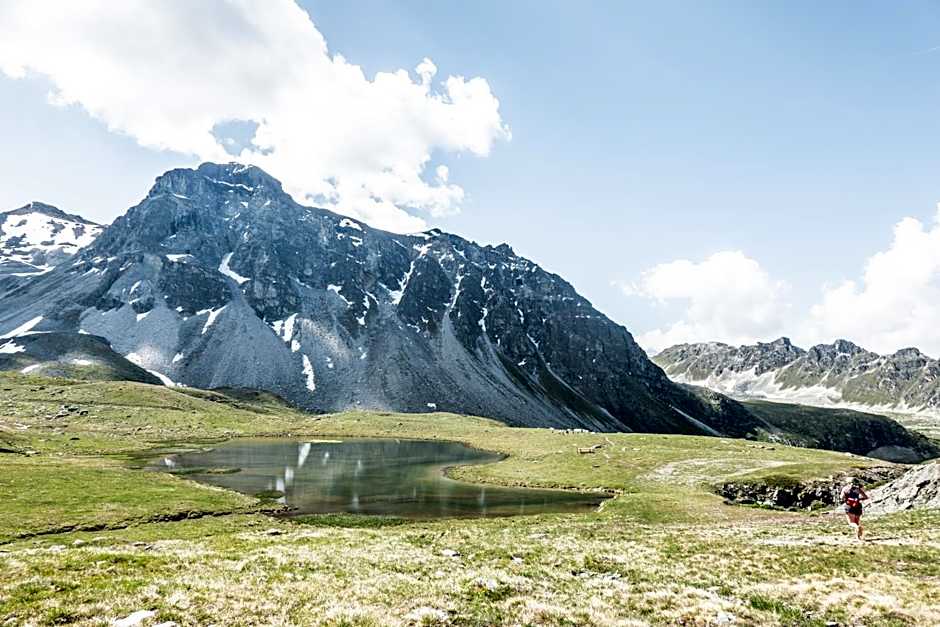 Cabane Bella-Tola