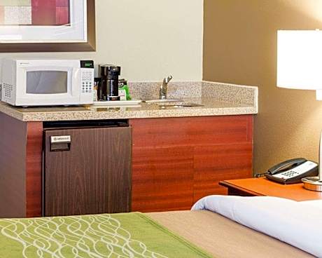1 King Bed, Nonsmoking, Accessible