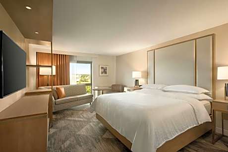 Room, 1 King Bed
