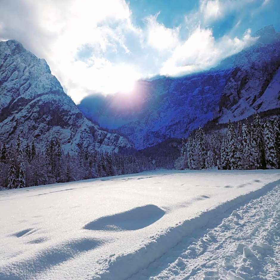 Al sentiero di Charly