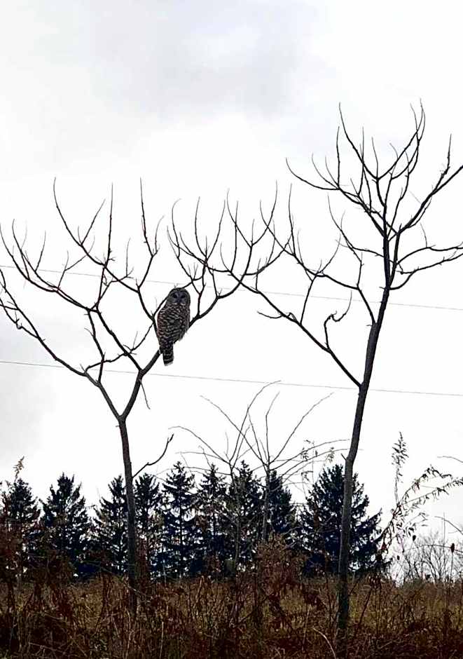 Our Valley View Bed & Breakfast