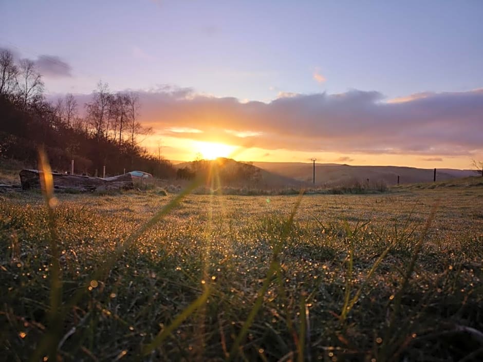 Belan Bluebell Woods Shepherds Hut