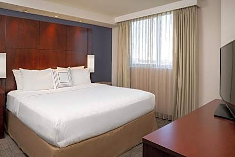 Studio, 1 King Bed with Sofa bed (1 King Bed and 1 Double Sofa Bed)