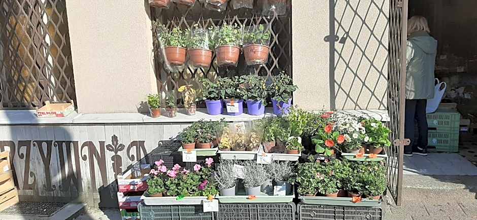 Hostel Mamas & Papas