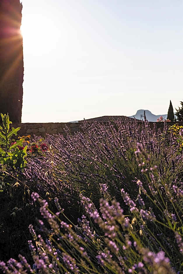 Hotel - Restaurant & Spa La Magdeleine - Mathias Dandine