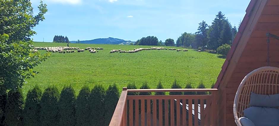 Lawendowe Wzgórze 21 dom z jacuzzi na wyłączność