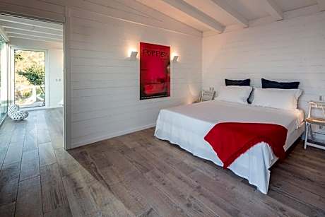 Junior Suite with Terrace