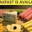 Zayed Hotel