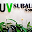 Urbanview Hotel Subali Purwokerto