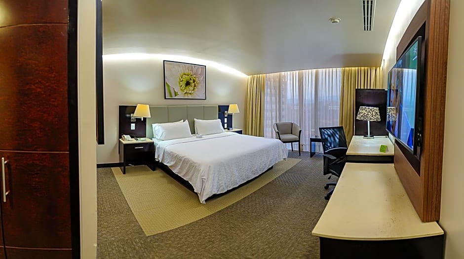 Holiday Inn Hotel & Suites Mexico Medica Sur By IHG