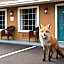 Fox Mountain Inn