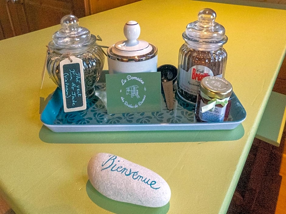 le domaine des drôles de dames