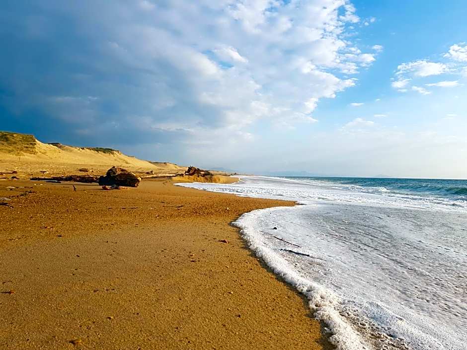 Shifting Sands Surf Camp