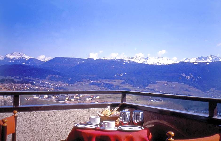 Hotel & Appartamenti Al Larice