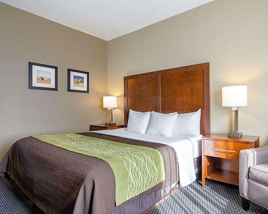 Comfort Inn Garden City