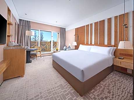 Premier King Room with Bath Tub