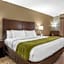 Comfort Inn Pearl-Jackson