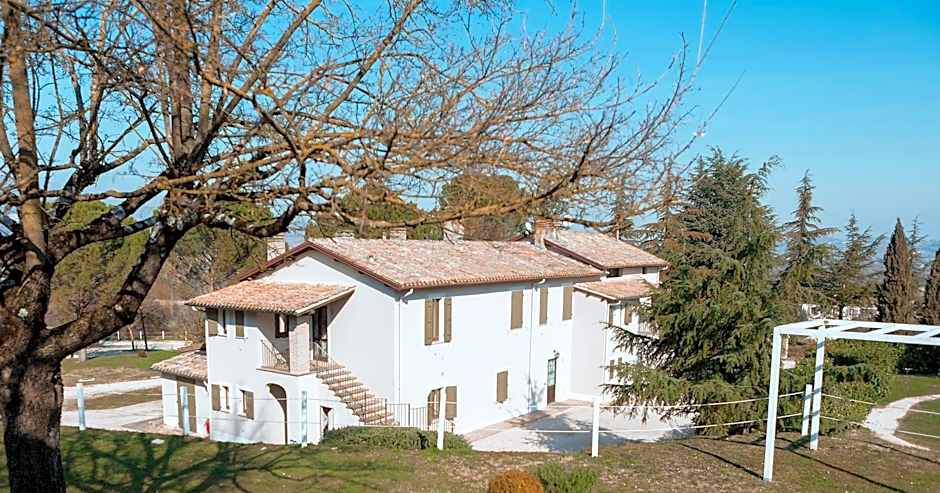 Fontepino