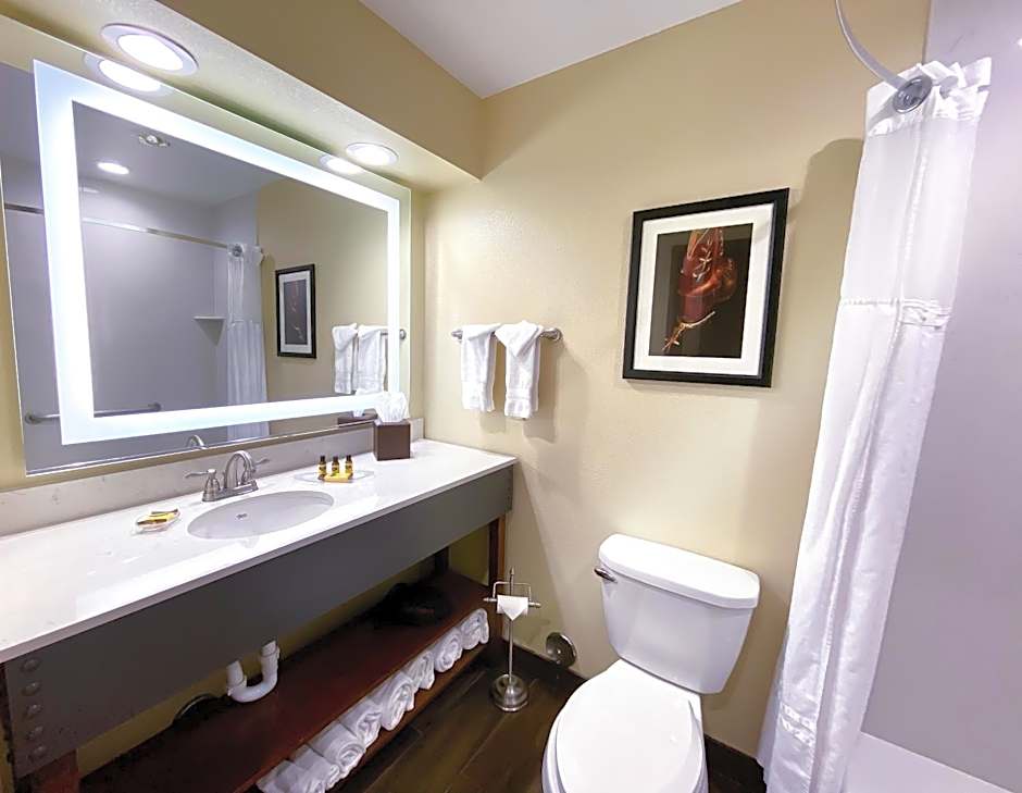 Best Western Plus Inn Of Williams