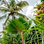 Nyumbani Residence Suites