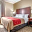 Comfort Inn Fremont