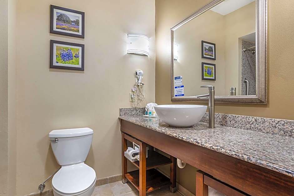 Comfort Suites Spring