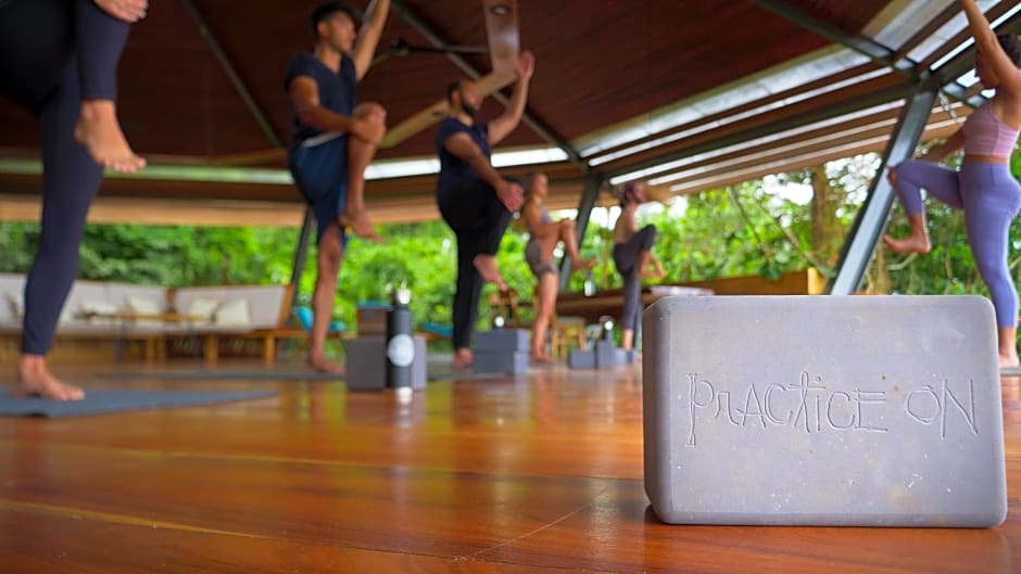 La Loma Jungle Lodge And Chocolate Farm