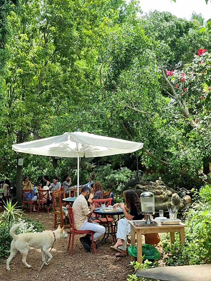 Vitrage Holiday Village and Spa