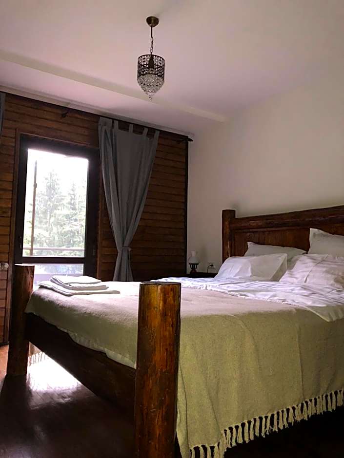 Cabana Zimbru Transfagarasan