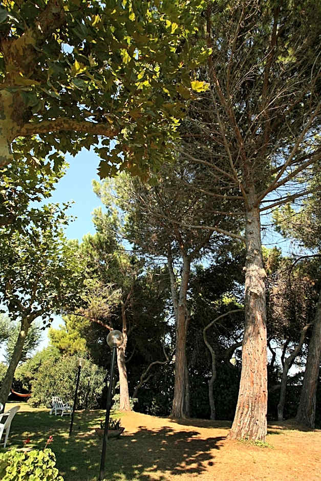 B&B Il Parco Dei Pini