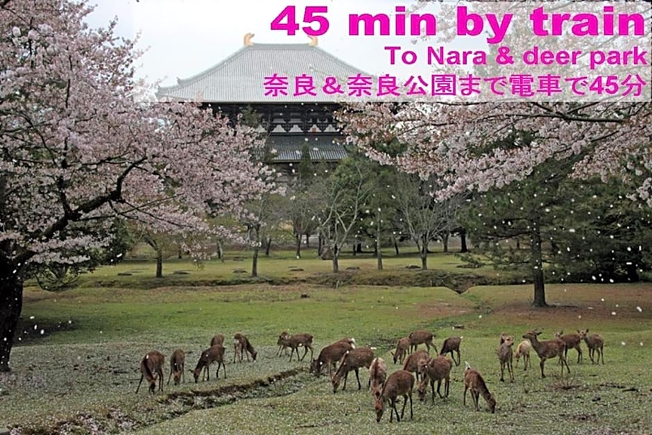Hotel Raizan / Vacation STAY 9353
