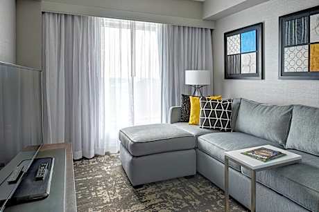 1 Bedroom Junior Suite, 1 King, Sofa beds: 2