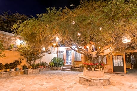 Hotel Casa del Arbol