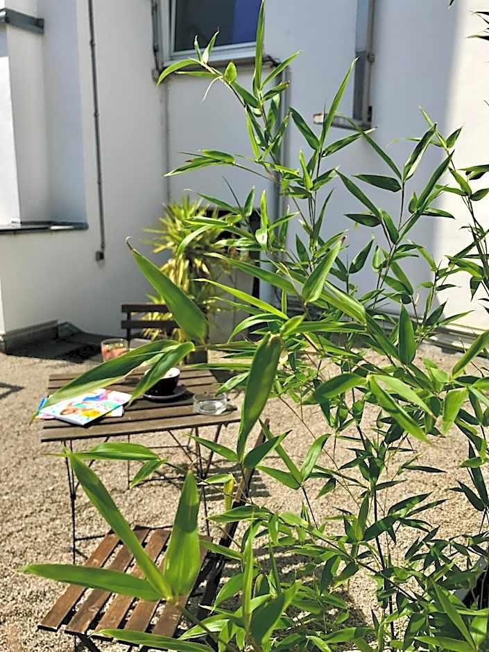 Mauritius Komfort Hotel in der Altstadt