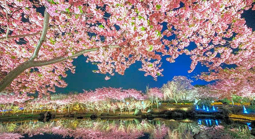 Hotel Castle Inn Yokkaichi