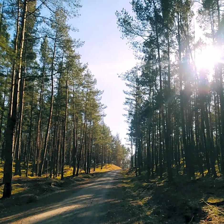 Wios¿ówka - domek nad morzem
