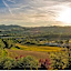 Tenuta i musi lunghi