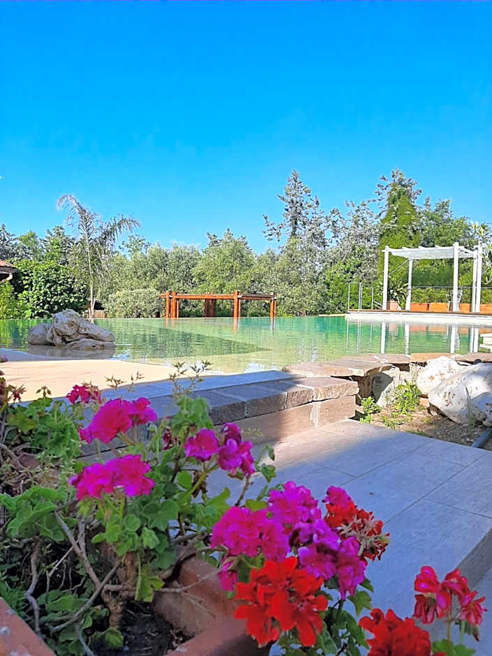 Antica Locanda Palmieri