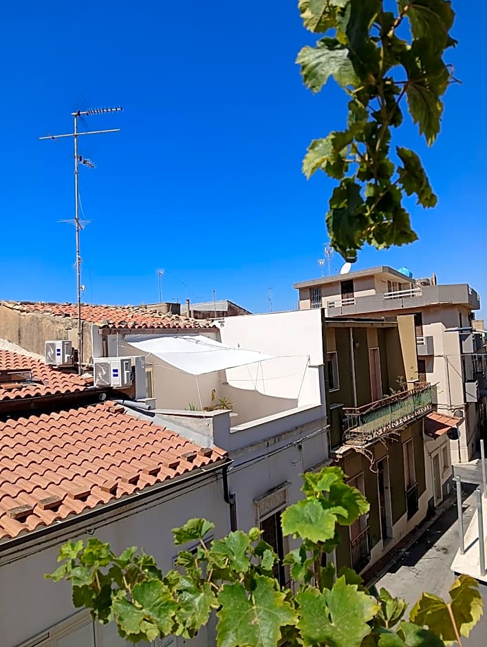 Piccola Azzurra Branch