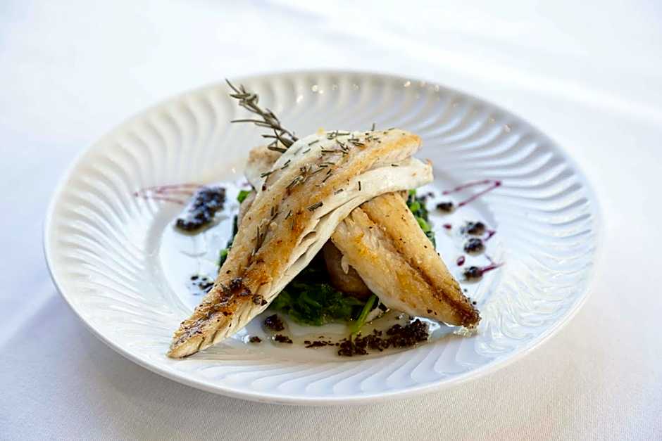 Hotel Termas da Curia