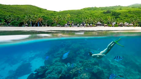 Octopus Resort