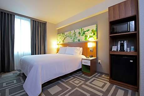 1 King Bed