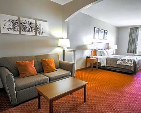 1 King Bed, Suite, Nonsmoking