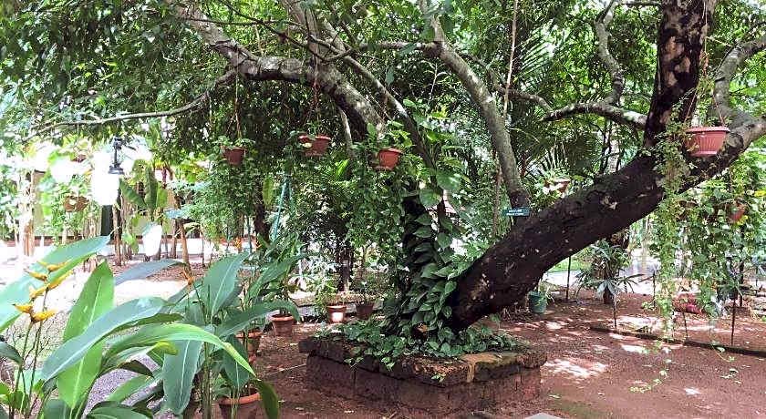 Palmgrove service villa