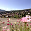 Valia Calda Hotel