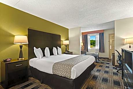 Junior King Suite with Sofa Bed