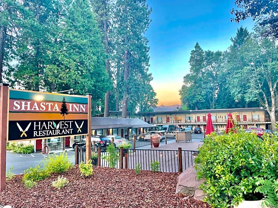 Shasta Inn