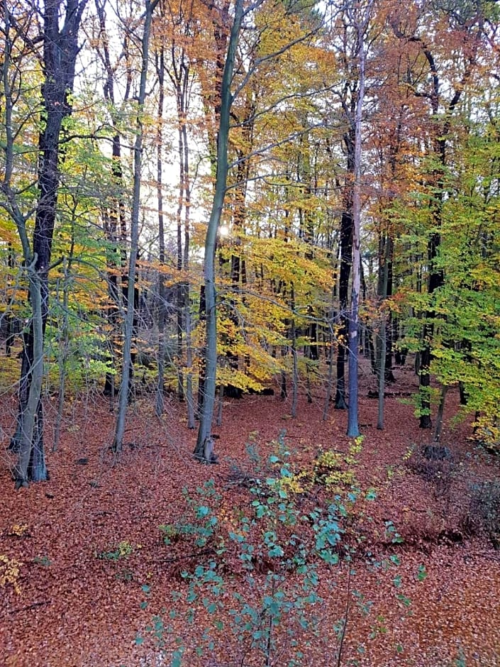 Gästehaus Vergissmeinnicht
